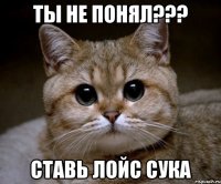 ты не понял??? СТАВЬ ЛОЙС СУКА