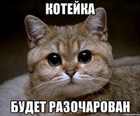 Котейка будет разочарован