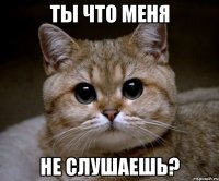 Ты что меня не слушаешь?