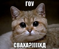 Гоу сваха?))))хд