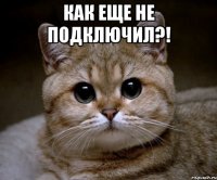 Как еще не подключил?! 