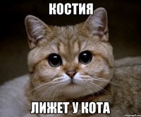 Костия Лижет у кота