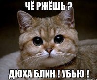 Чё ржёшь ? Дюха блин ! Убью !