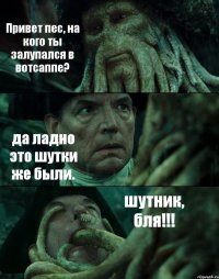 Привет пес, на кого ты залупался в вотсаппе? да ладно это шутки же были. шутник, бля!!!