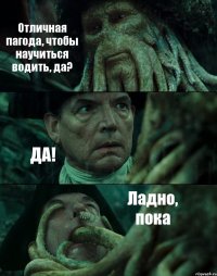 Отличная пагода, чтобы научиться водить, да? ДА! Ладно, пока