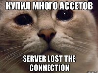 Купил много ассетов Server lost the connection