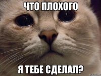 Что плохого я тебе сделал?