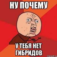 Ну почему у тебя нет гибридов