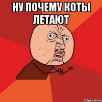 ну почему коты летают 