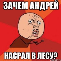 зачем Андрей насрал в лесу?