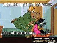 аккерман ща по шеи получишь да ты чё тура отснать