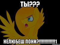 ты??? нелюбеш пони?!!!!!!!!!!!!1