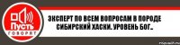 Зксперт по всем вопросам в породе сибирский хаски. Уровень бог..