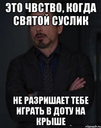 Это чвство, когда святой суслик Не разришает тебе играть в доту на крыше