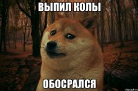 Выпил колы Обосрался