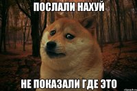 послали нахуй не показали где это