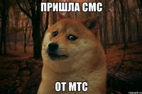 пришла смс от мтс