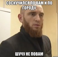 Соскучился по вам и по городу Шучу не повам