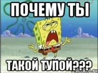 почему ты такой тупой???