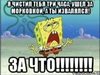 Я чистил тебя три часа, ушел за морковкой, а ты извалялся! За что!!!!!!!!