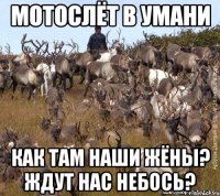 мотослёт в умани как там наши жёны? ждут нас небось?