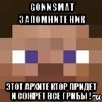 GonnSmaT Запомните ник Этот архитектор придет и сожрет все грибы !