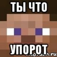 ты что упорот