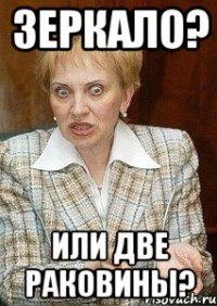 ЗЕРКАЛО? ИЛИ ДВЕ РАКОВИНЫ?