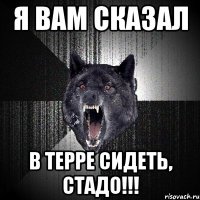 Я вам сказал В терре сидеть, стадо!!!