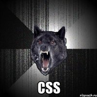  CSS