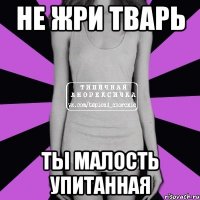 не жри тварь ты малость упитанная