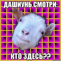 Дашиунь смотри: кто здесь??