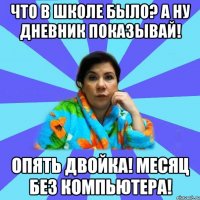 Что в школе было? А ну дневник показывай! Опять двойка! Месяц без компьютера!