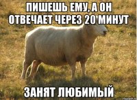 пишешь ему, а он отвечает через 20 минут занят любимый