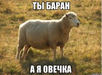 Ты баран а я овечка