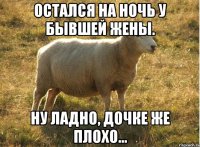 Остался на ночь у бывшей жены. Ну ладно, дочке же плохо...