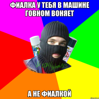 фиалка у тебя в машине говном воняет а не фиалкой