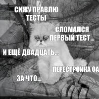 Сижу правлю тесты Сломался первый тест... и ещё двадцать... перестройка QA за что...