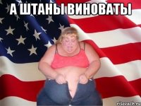 а штаны виноваты 