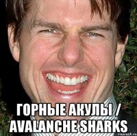  Горные акулы / Avalanche Sharks