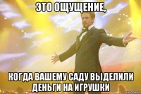 Это ощущение, когда вашему саду выделили деньги на игрушки