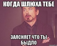 Когда шлюха тебе заясняет что ты быдло