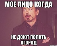 Мое лицо когда Не доют полить огород