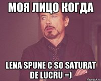 моя лицo когда lena spune c so saturat de lucru =)