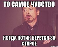 то самое чувство когда котик берется за старое