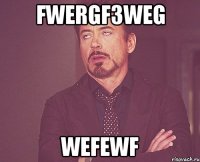 fwergf3weg wefewf