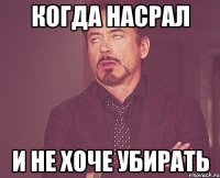 Когда насрал И не хоче убирать