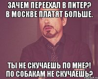 Зачем переехал в Питер? В Москве платят больше. Ты не скучаешь по мне?! По собакам не скучаешь?