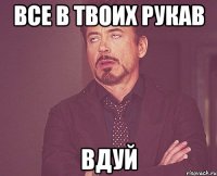 все в твоих рукав вдуй