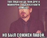 Твоё лицо,когда твой друг в Майнкрафт надеялся найти алмазы, Но был сожжён лавой.